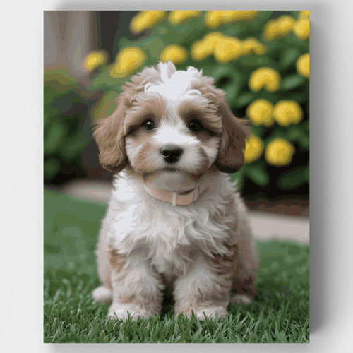 Cavapoo Puppy with Yellow Lights - Paint by Numbers Kit