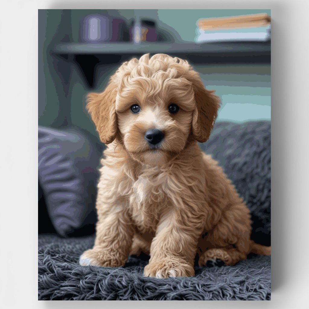 Cachorro Cavapoo esponjoso sobre manta gris - Kit de pintura por números — Estándar