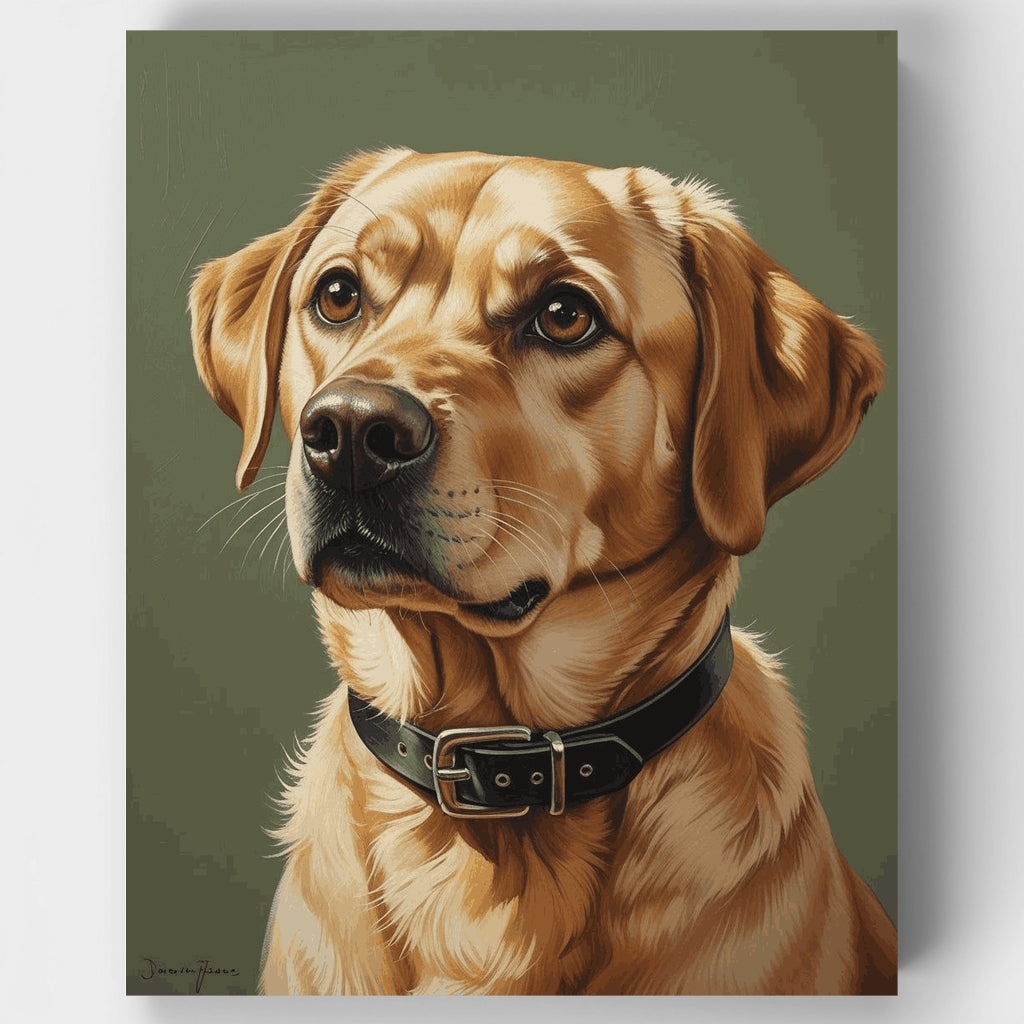 Retrato de Labrador Dorado - Kit de pintura por números — Estándar