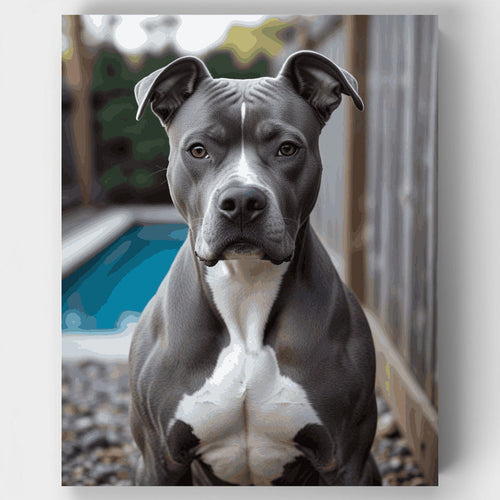 Gray and White Pitbull Portrait - Paint by Numbers Kit