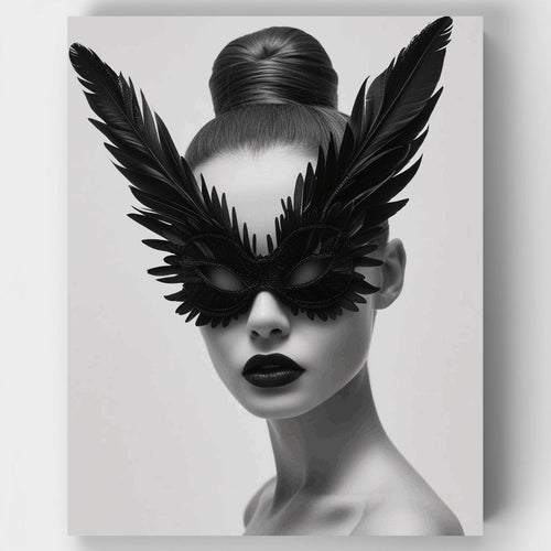 Masked Elegance in Black and White - Paint by Numbers Kit