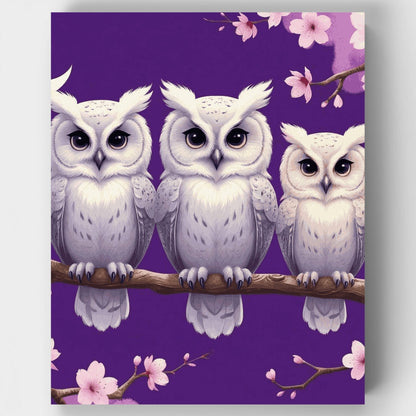 Three White Owls on Cherry Blossom Branch - Paint by Numbers Kit