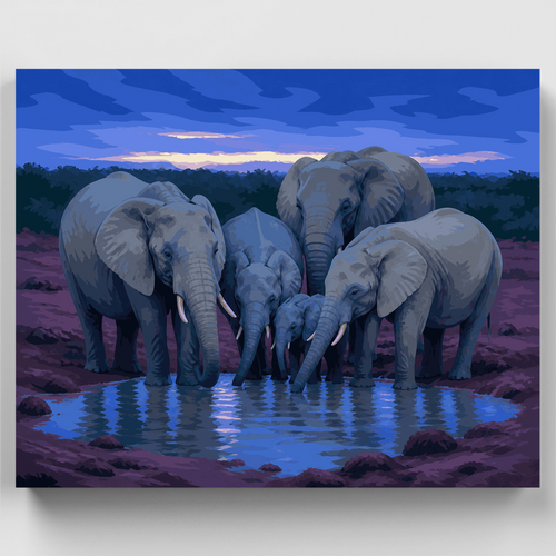 Addo Waterhole at Dusk - Paint by Numbers Kit
