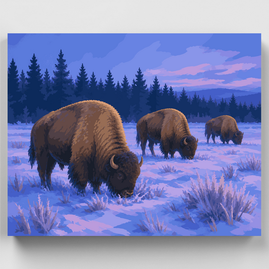 Bison at Blue Hour - Paint by Numbers Kit