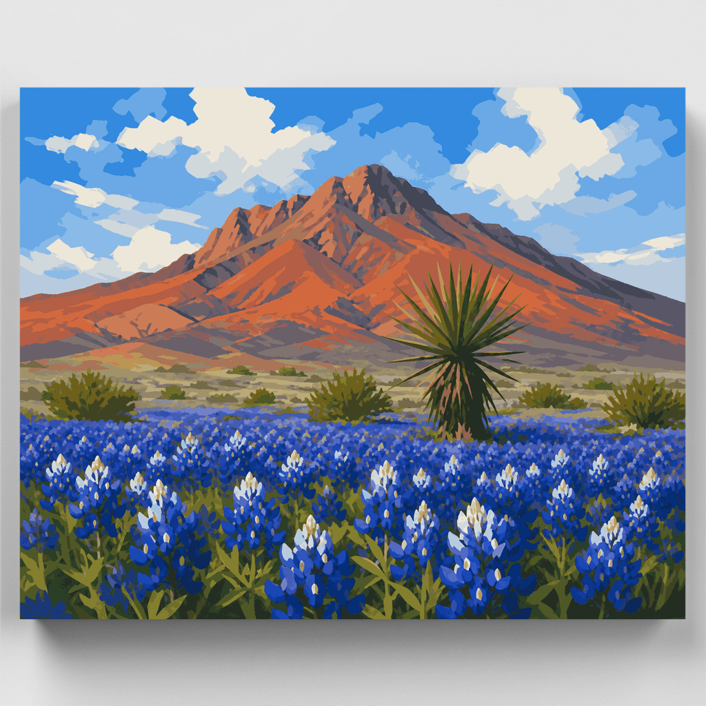 Bluebonnets en Cerro Castellan - Kit de pintura por números — Estándar