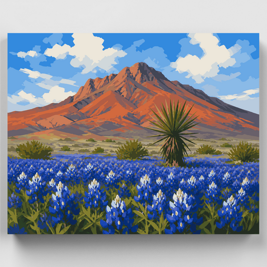 Bluebonnets at Cerro Castellan - Paint by Numbers Kit
