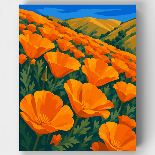 Golden Poppy Fields - Paint by Numbers Kit