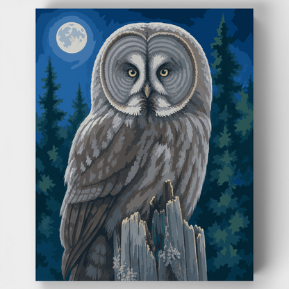 Great Grey Owl Under Moonlight - Paint by Numbers Kit