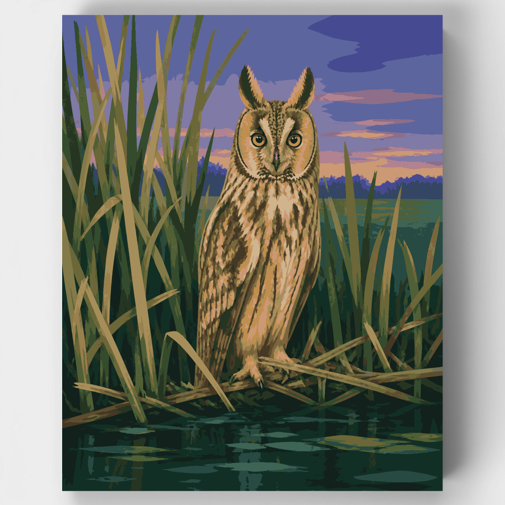 Long-Eared Owl at Dusk - Paint by Numbers Kit