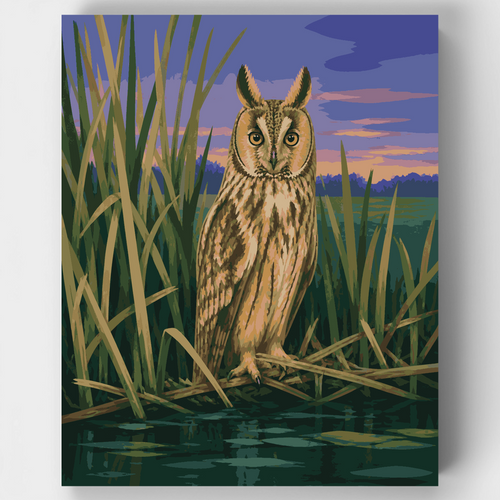 Long-Eared Owl at Dusk - Paint by Numbers Kit