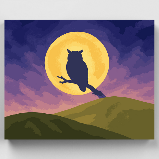 Owl in Moonlight - Paint by Numbers Kit