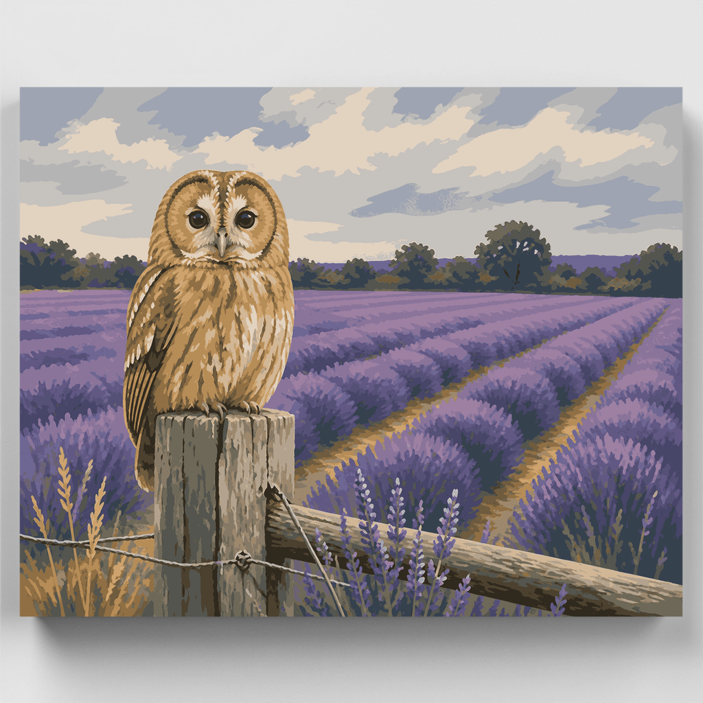 Búho de los campos de lavanda - Kit de pintura por números — Estándar