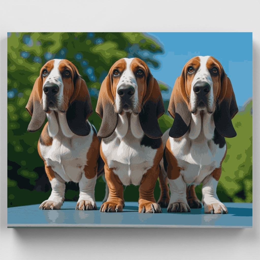 Three Basset Hounds - Paint by Numbers Kit