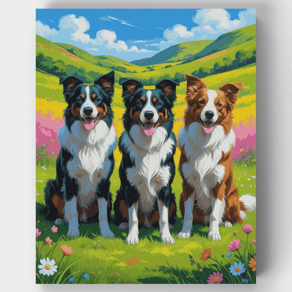 Border Collies in Rolling Hills - Paint by Numbers Kit