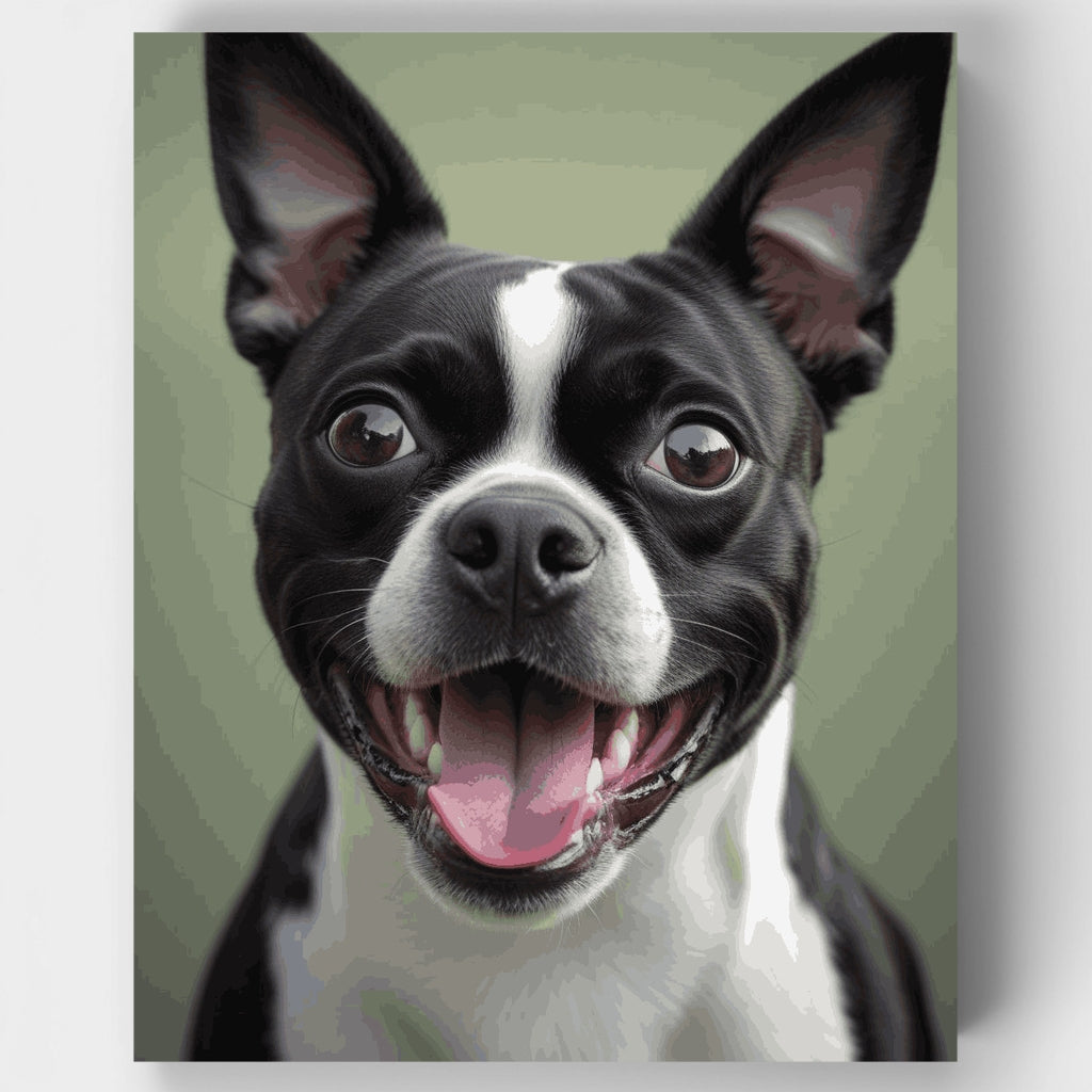 Happy Boston Terrier - Paint by Numbers Kit