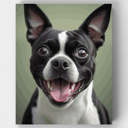 Happy Boston Terrier - Paint by Numbers Kit