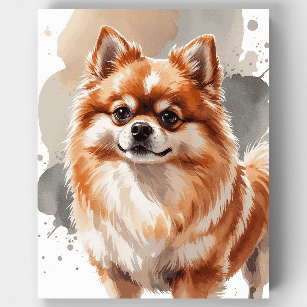 Pomerania esponjoso - Kit de pintura por números — Estándar