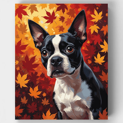 Boston Terrier in Autumn Leaves - Paint by Numbers Kit
