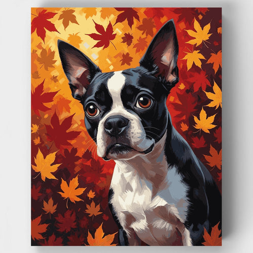 Boston Terrier in Autumn Leaves - Paint by Numbers Kit