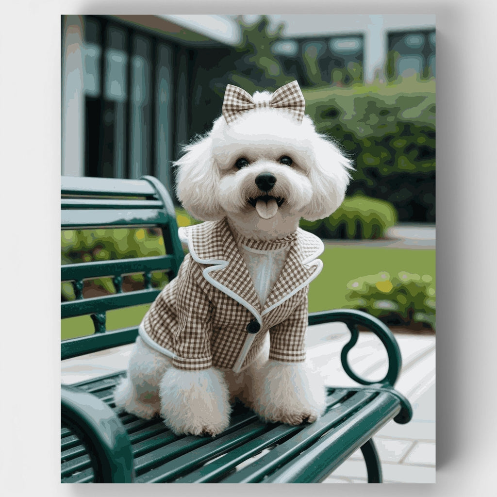 Bichón frisé con estilo en un banco del parque - Kit de pintura por números — Estándar