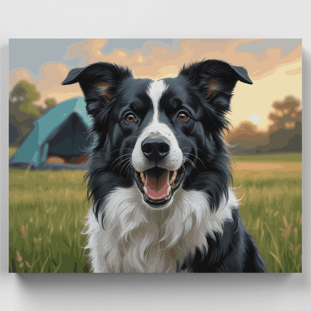 Border Collie feliz en la pradera - Kit de pintura por números — Estándar