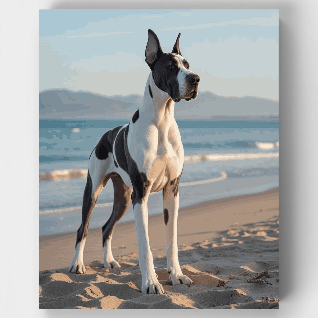 Majestic Great Dane on Beach - Paint by Numbers Kit