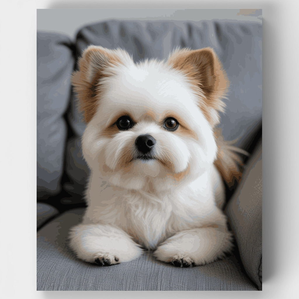 Adorable Shih Tzu on Gray Couch - Paint by Numbers Kit