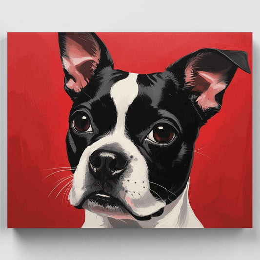 Boston Terrier Against Vibrant Red - Paint by Numbers Kit