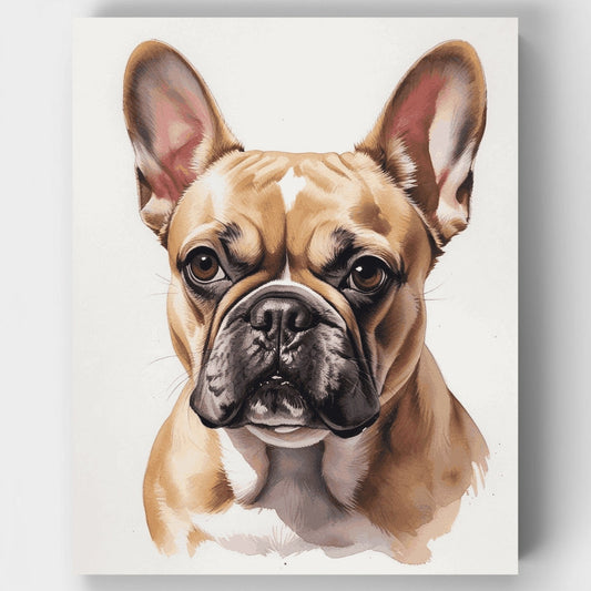 French Bulldog Portrait - Paint by Numbers Kit