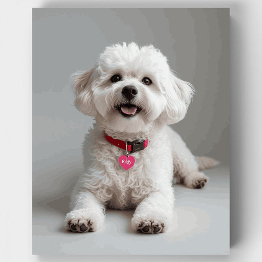 Ruby the Bichon Frise - Paint by Numbers Kit