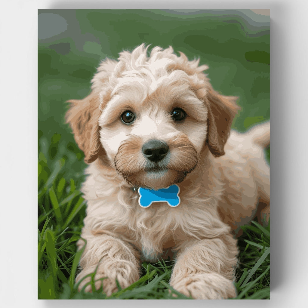 Adorable Goldendoodle Puppy - Paint by Numbers Kit