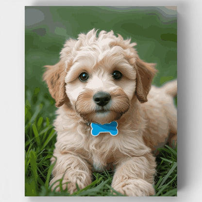 Adorable Goldendoodle Puppy - Paint by Numbers Kit