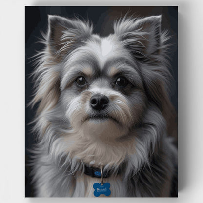 Fluffy Long-Haired Dog with Blue Collar - Paint by Numbers Kit