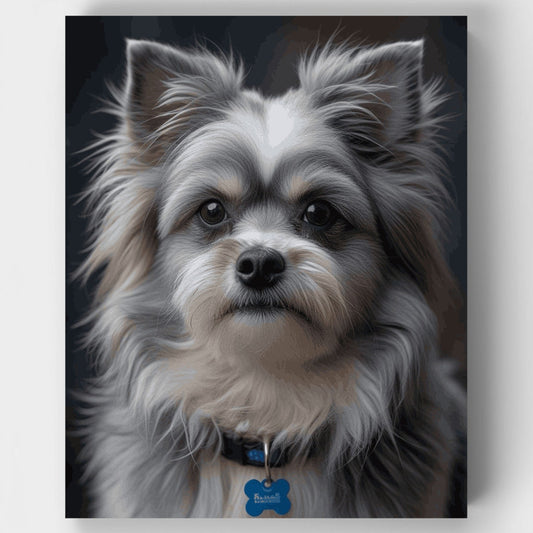 Fluffy Long-Haired Dog with Blue Collar - Paint by Numbers Kit