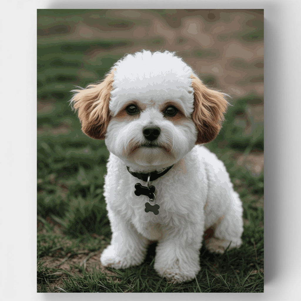 Kit de pintura por números: Adorable cachorro de Bichón Frisé — Estándar