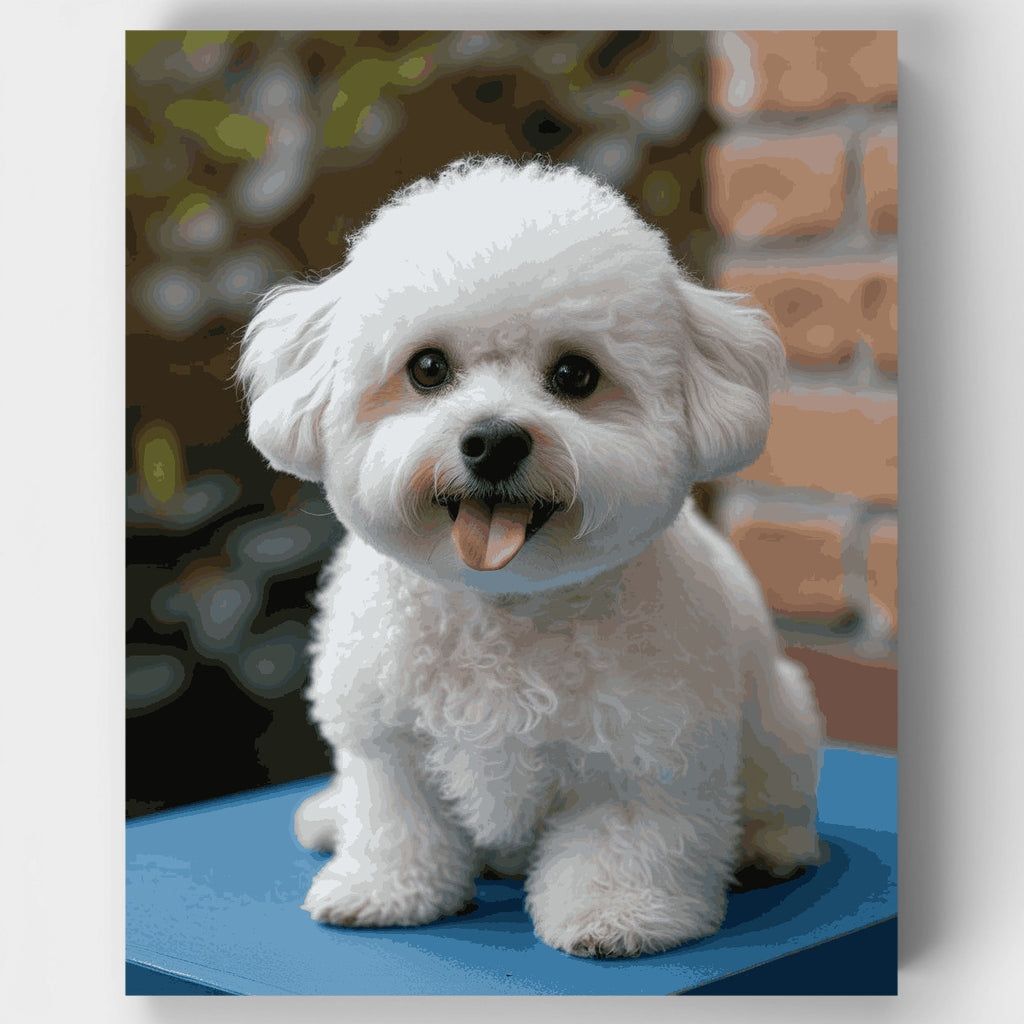 Adorable Bichón Frisé - Kit de pintura por números — Estándar