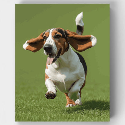 Basset Hound Running with Floppy Ears - Paint by Numbers Kit