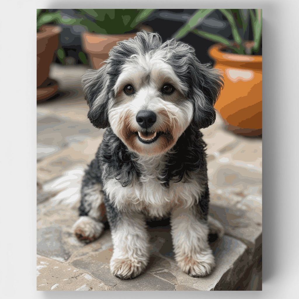 Retrato de Labradoodle sonriente - Kit de pintura por números — Estándar