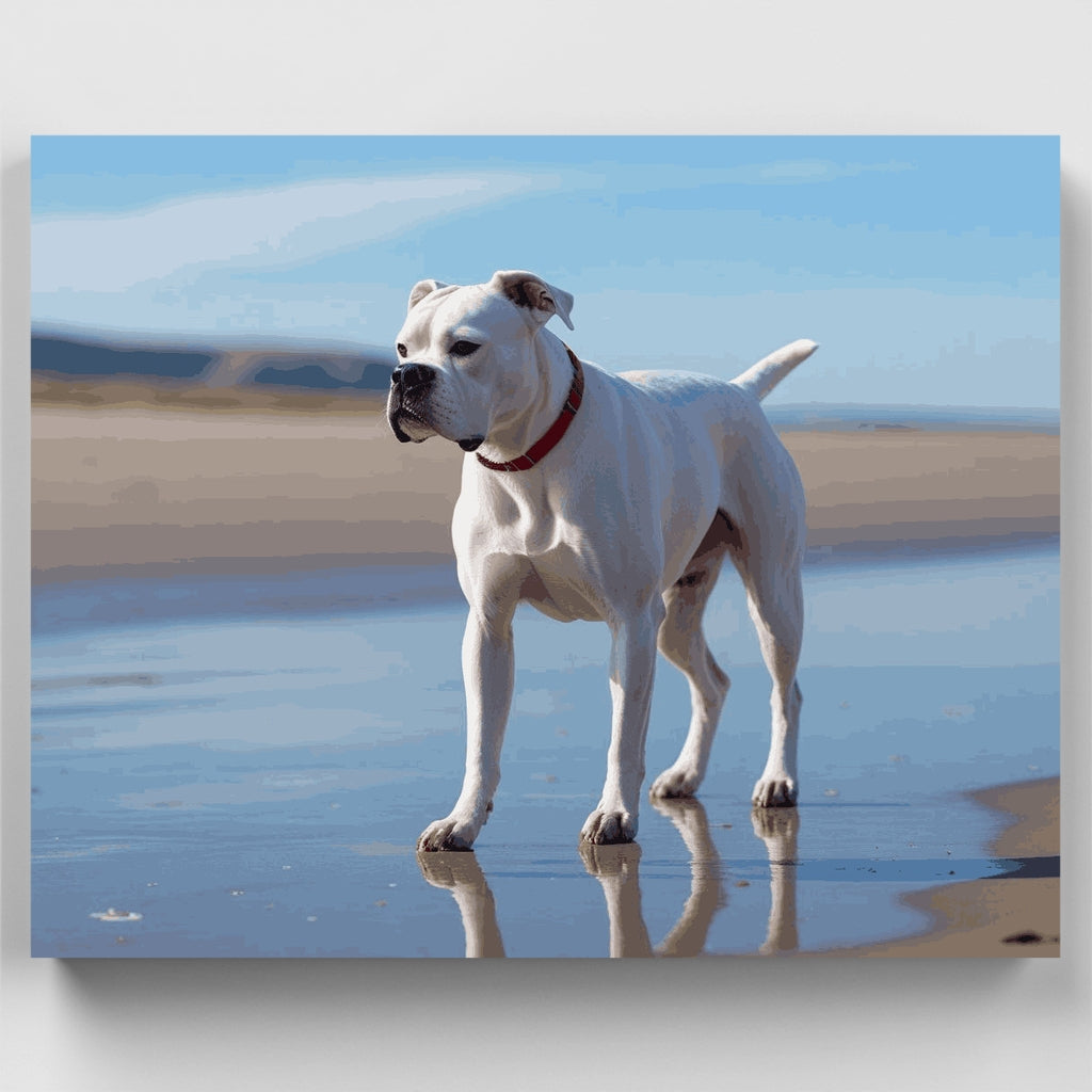 Kit de pintura por números: perro bóxer blanco en la playa — Estándar