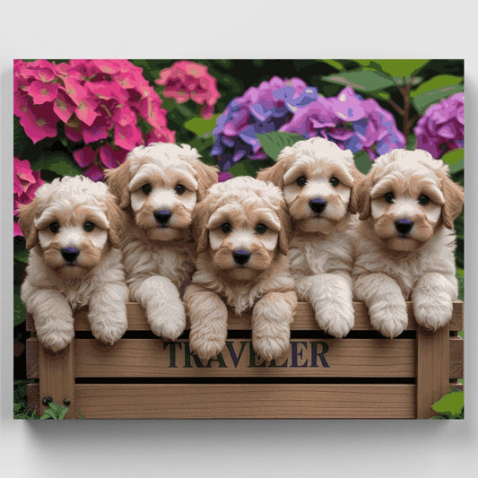 Labradoodle Puppies in Flower Garden - Paint by Numbers Kit