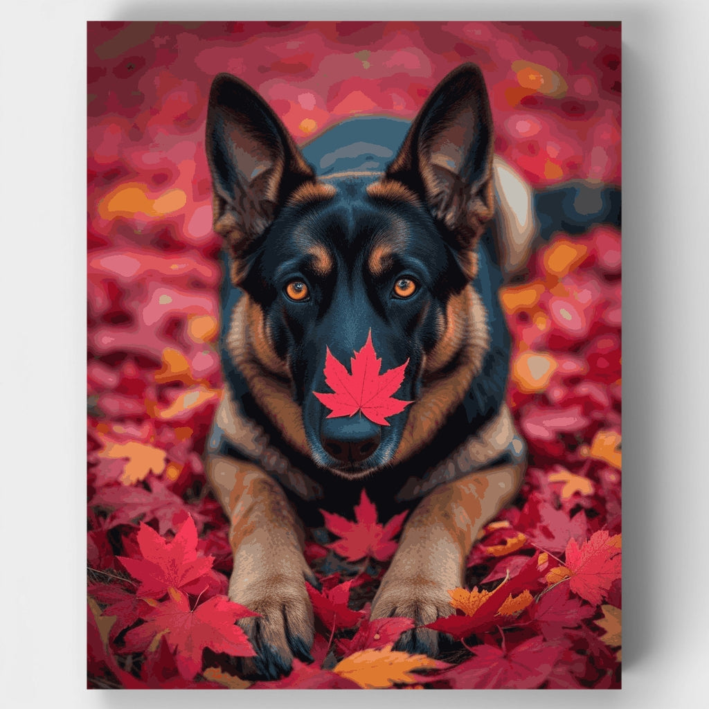Pastor alemán con hojas de otoño - Kit de pintura por números — Estándar