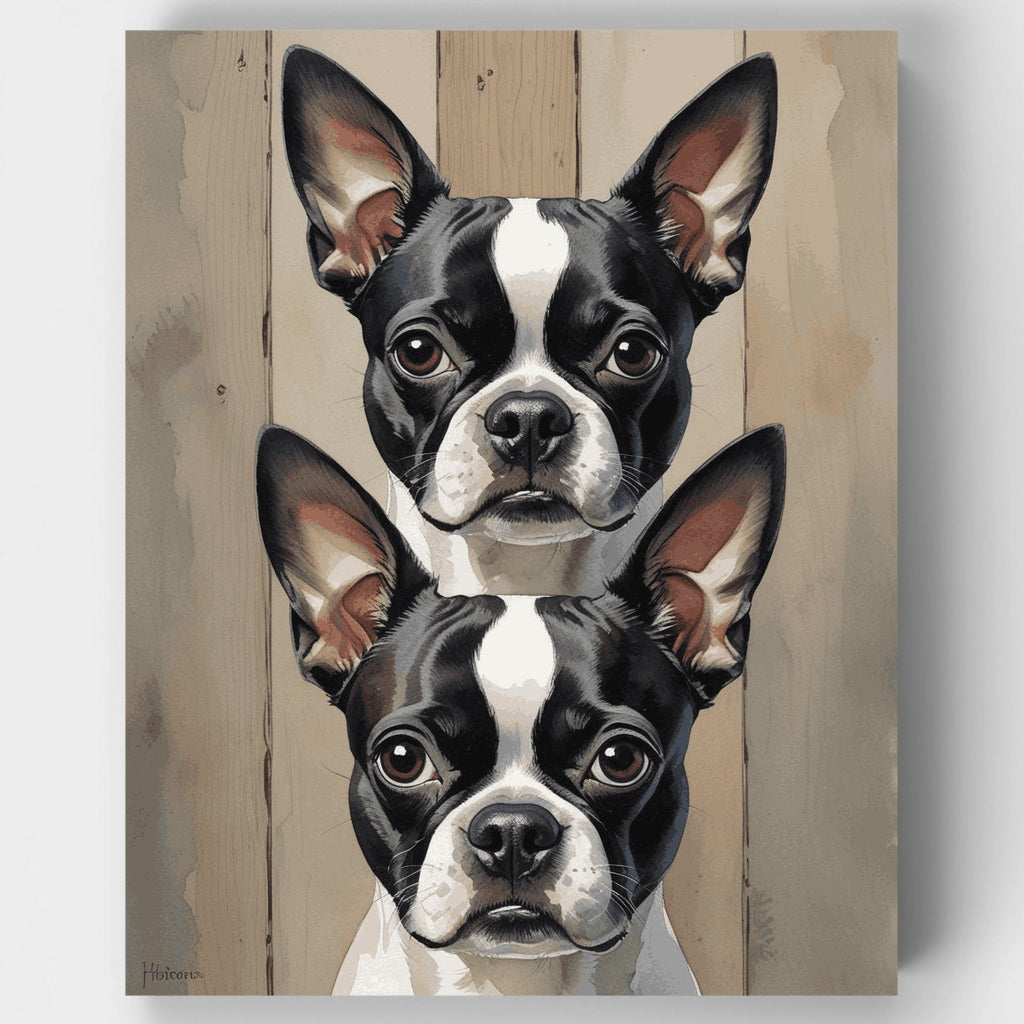 Kit de pintura por números - Dúo de Boston Terriers — Estándar