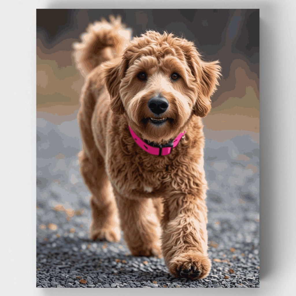 Goldendoodle con collar rosa - Kit de pintura por números — Estándar