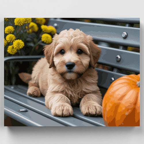 Adorable Labradoodle Puppy on Bench - Paint by Numbers Kit