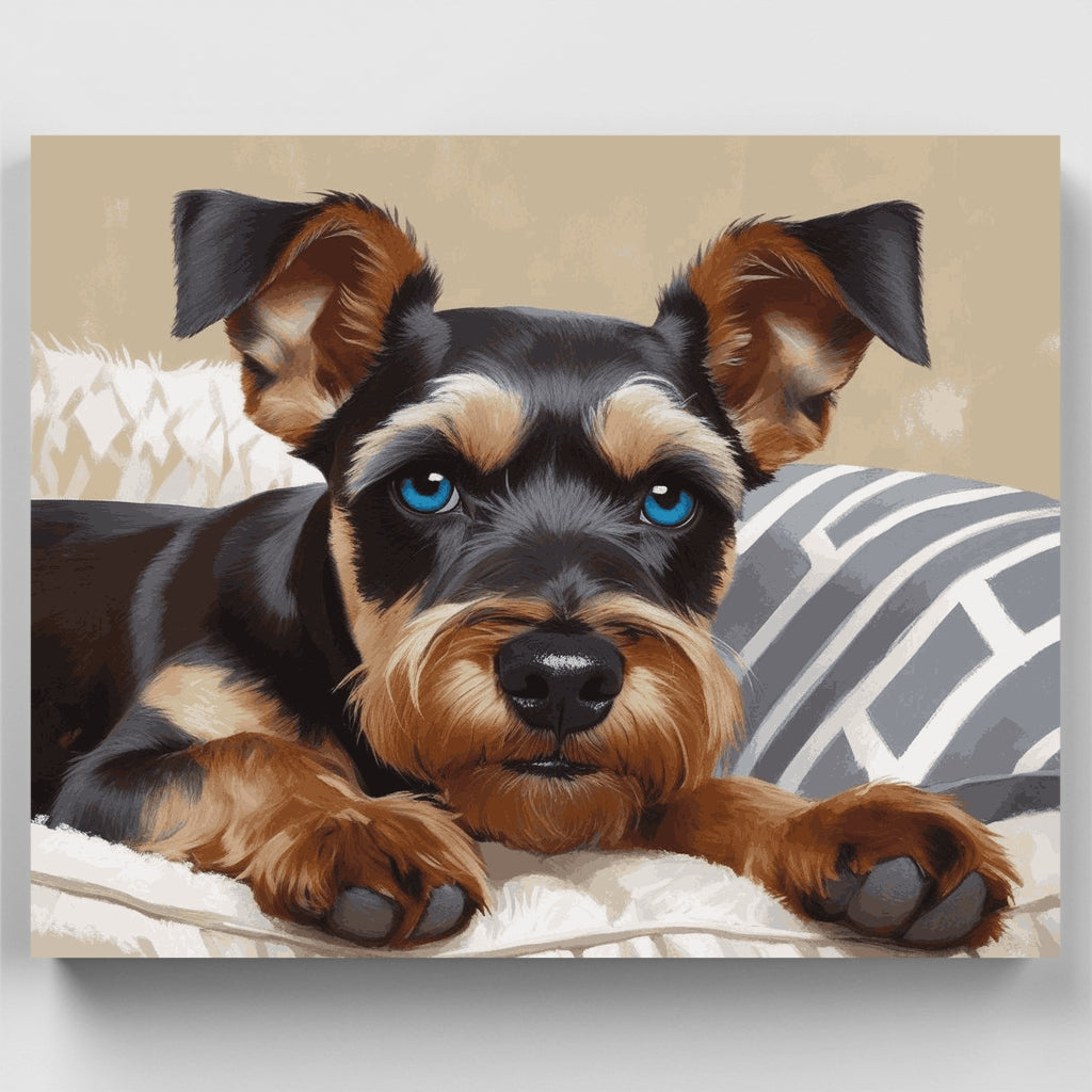 Schnauzer con ojos azules - Kit de pintura por números — Estándar