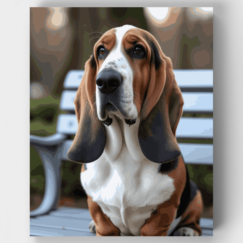 Kit de pintura por números: Basset Hound de ojos expresivos — Estándar