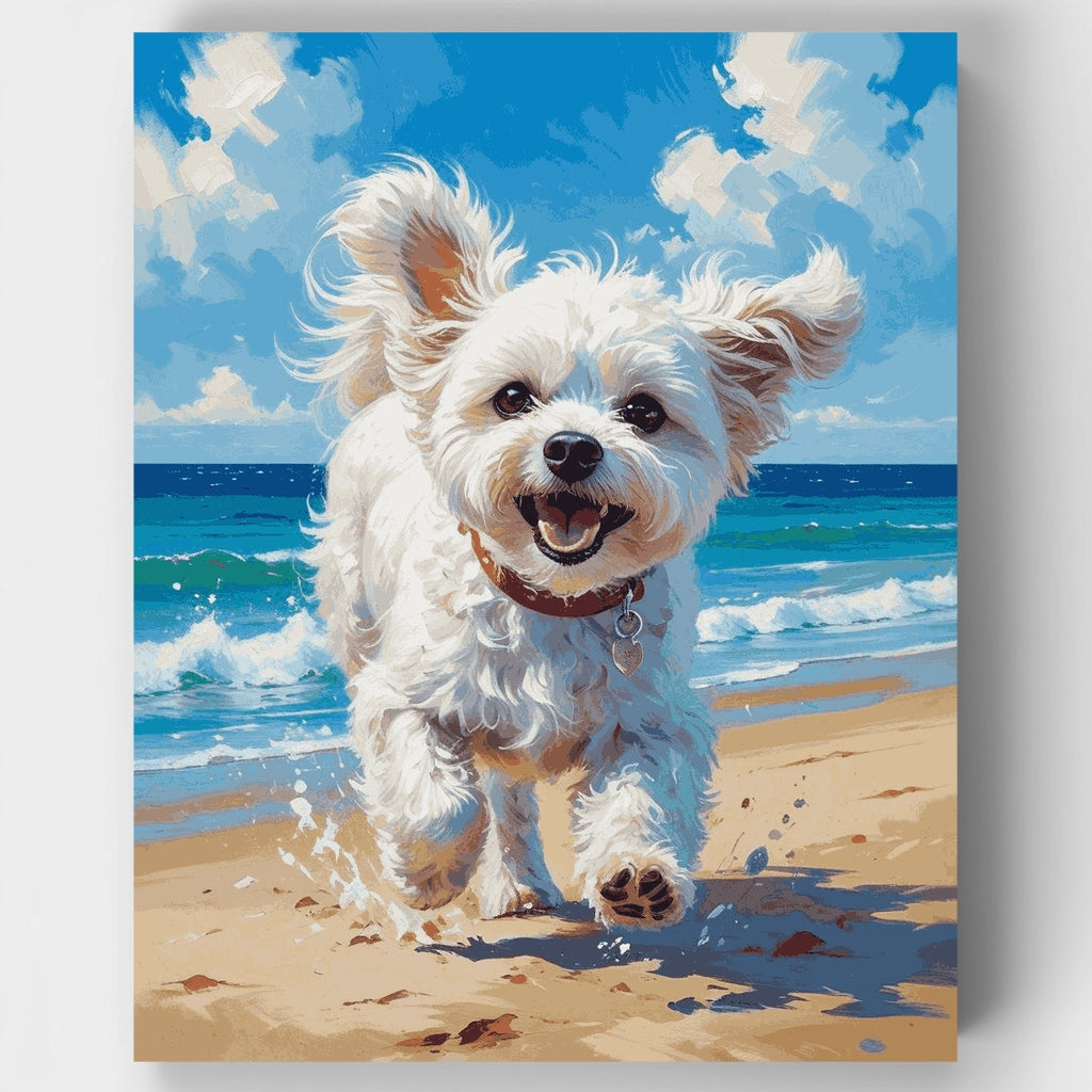 Bichón frisé feliz en la playa - Kit de pintura por números — Estándar