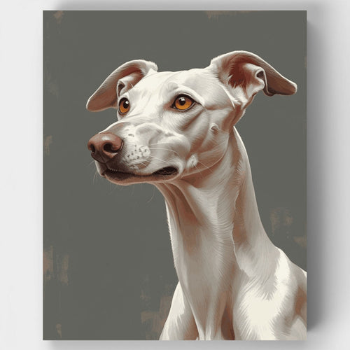 Elegant Greyhound with Amber Eyes - Paint by Numbers Kit