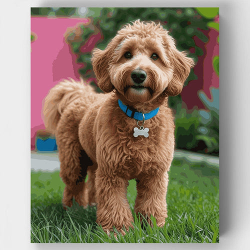 Goldendoodle with Blue Collar - Paint by Numbers Kit