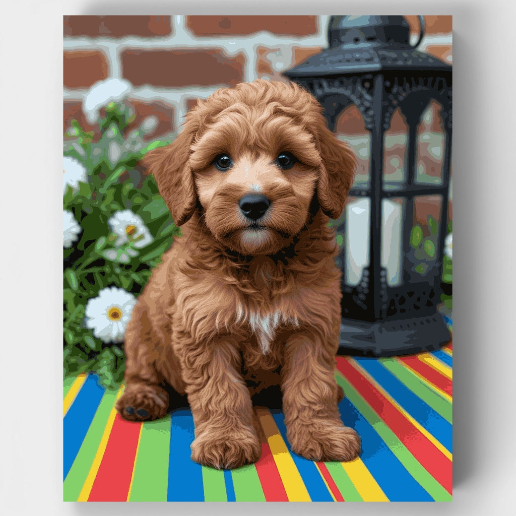 Cachorro Labradoodle esponjoso con linterna - Kit de pintura por números — Estándar